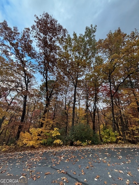 595 Whispering Dale Clarkesville, GA 30523 - Photo 4 of 6 a backyard of a house with lots of green space