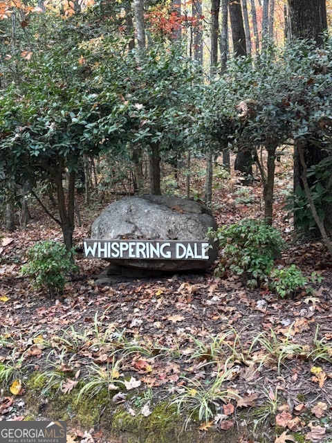 595 Whispering Dale Clarkesville, GA 30523 - Photo 5 of 6 a view of a yard with plants and trees