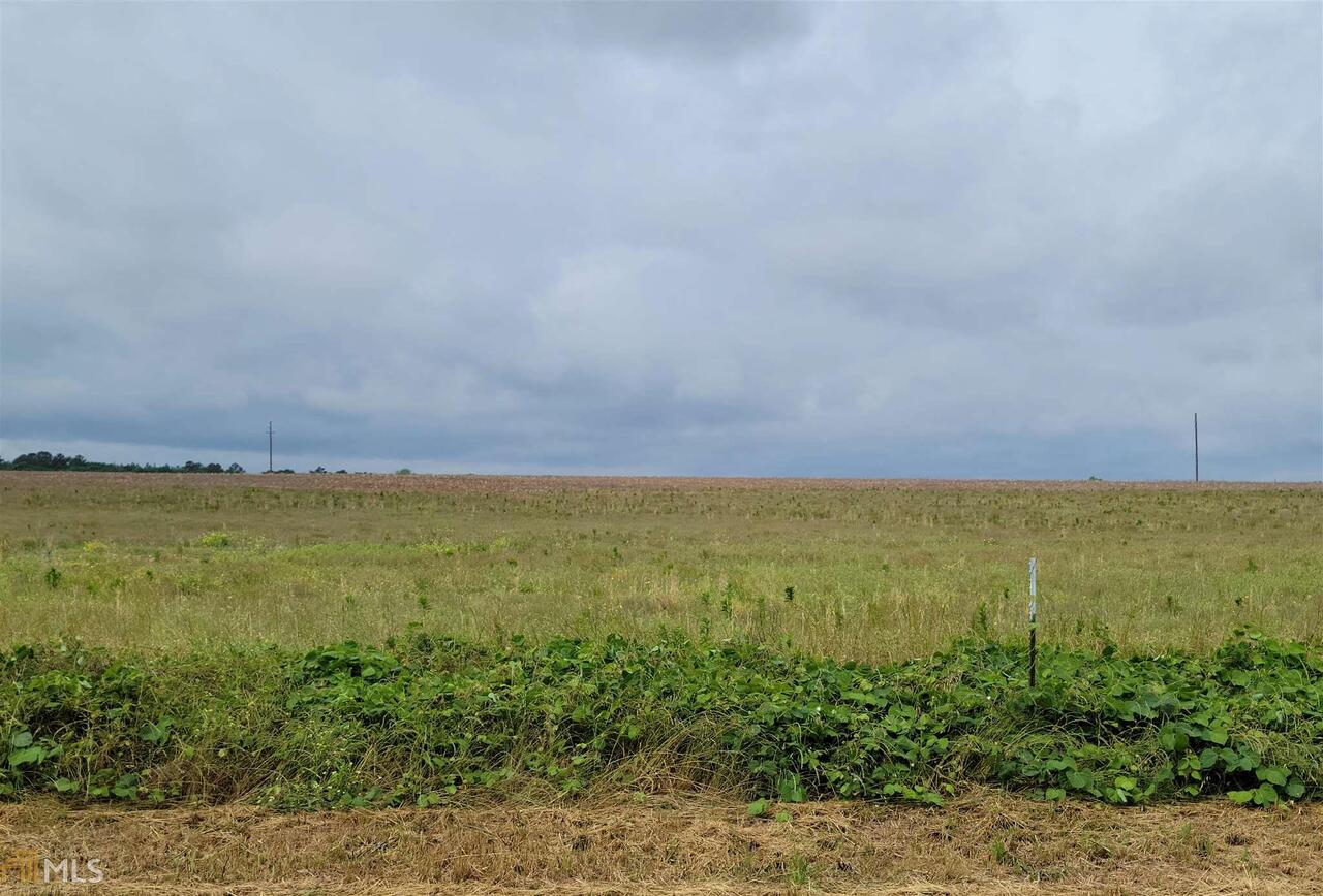 0 Elko Road, Unit LOT 16 Elko, GA 31025 - Photo 1 of 1
