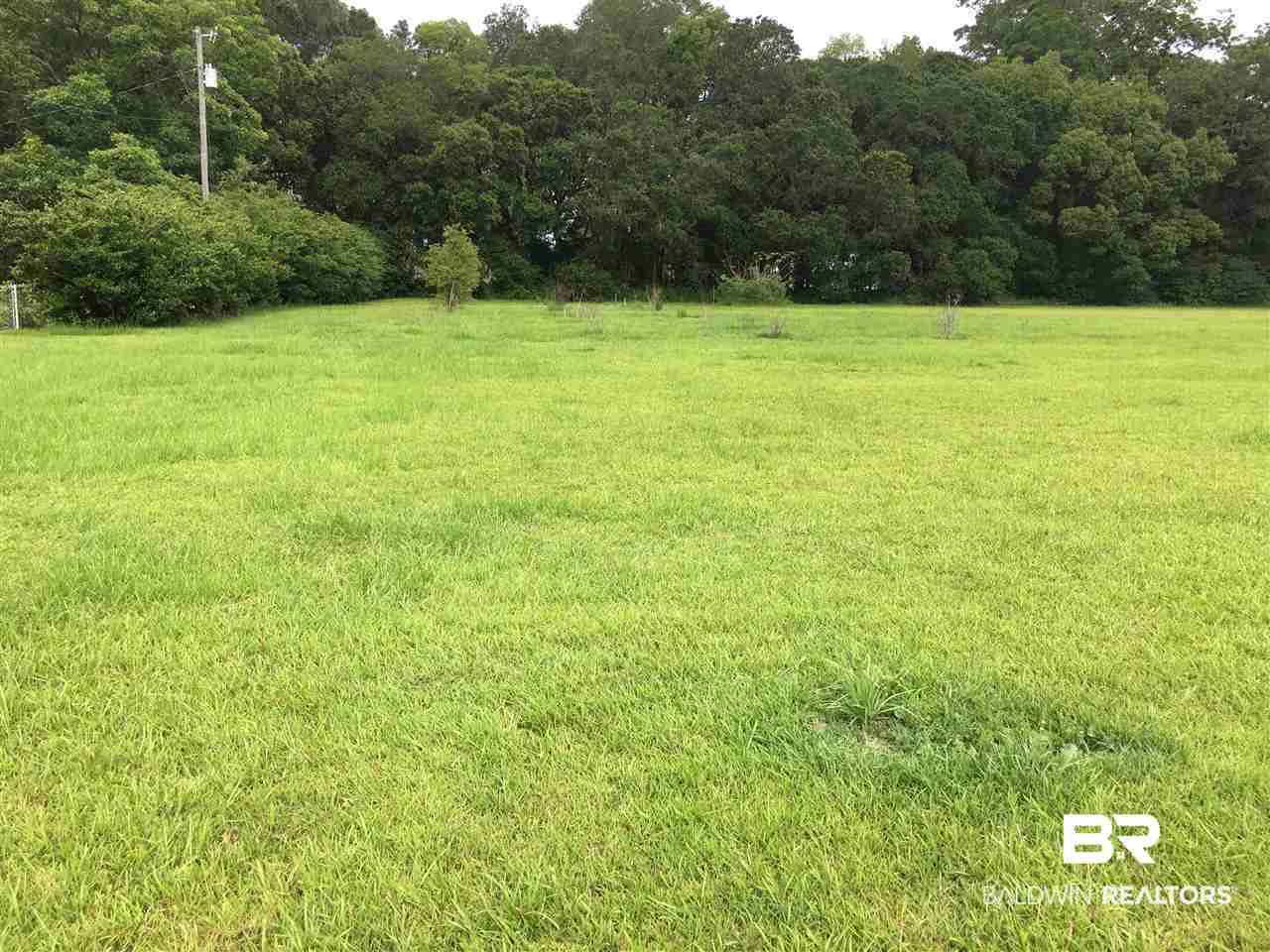 11808 South Juniper Street Foley, AL 36535 - Photo 1 of 1