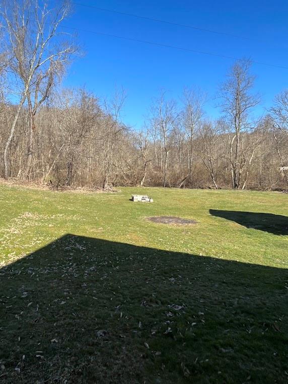 199 Fordyce Run Road Holbrook, PA 15341 - Photo 4 of 21 Gallery Image 4