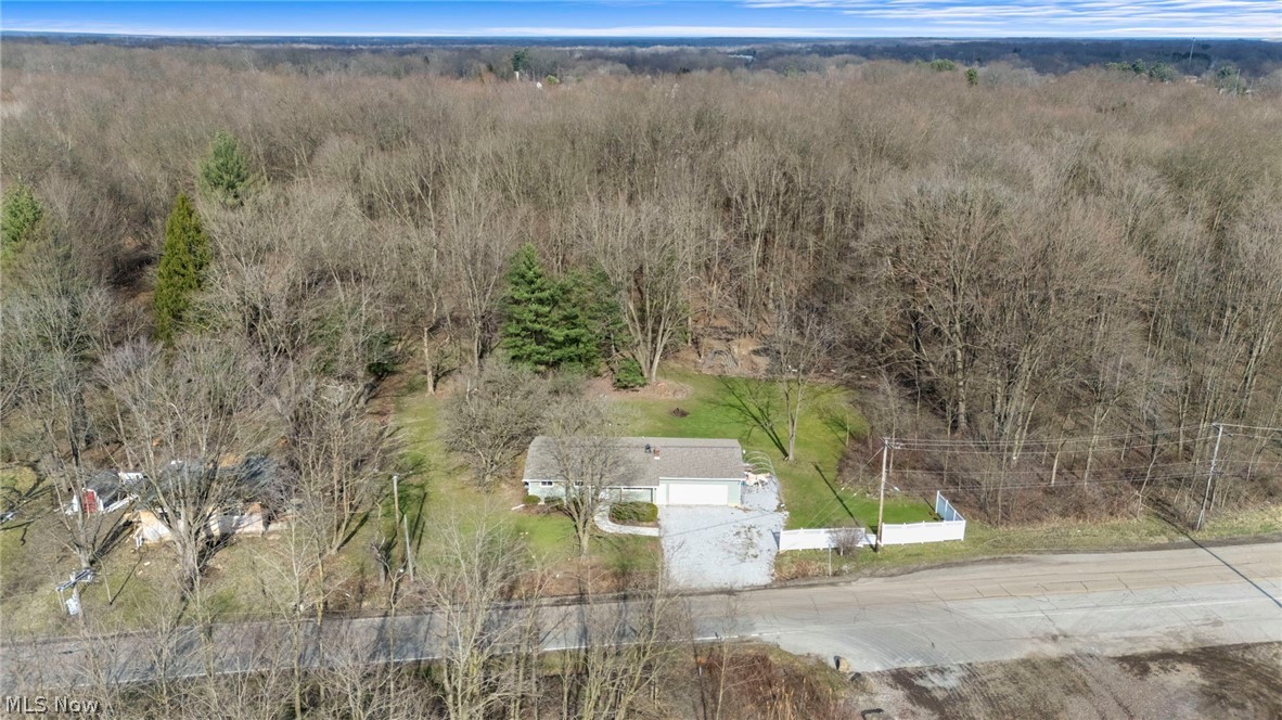 1835 Windham Road Newton Falls, OH 44444 - Photo 35 of 40 Bird's eye view of a forest