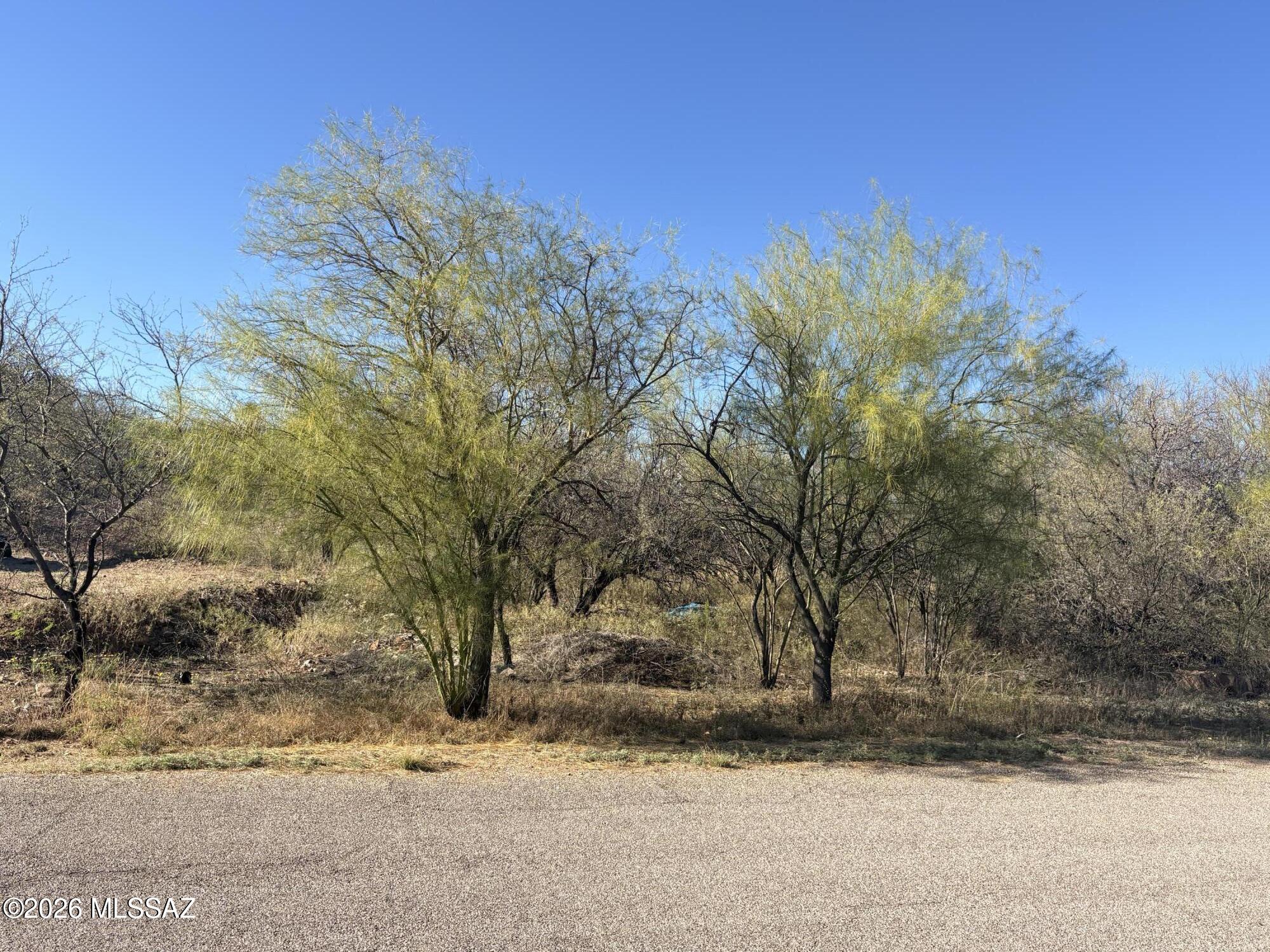 412 Wrightson Street, Unit 3 Rio Rico, AZ 85648 - Photo 2 of 5 a view of a yard with a tree