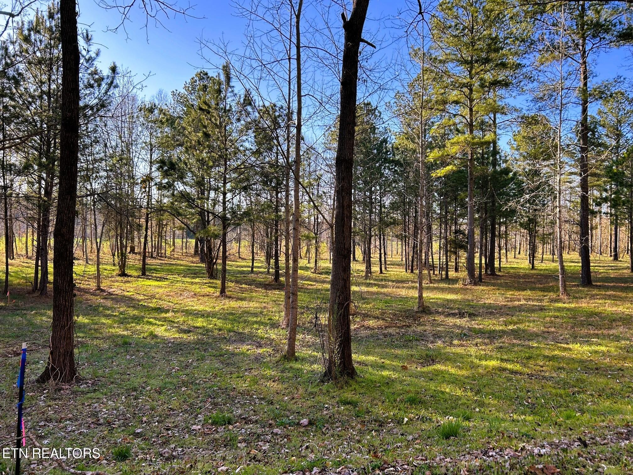 4 County Road 950 Charleston, TN 37310 - Photo 13 of 15