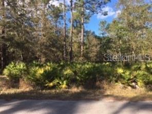 10 Locust Radiel Ocala, FL 34472 - Photo 1 of 1 Gallery Image 1
