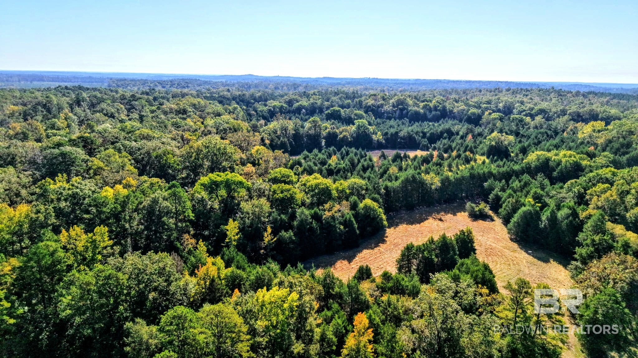 0 Highway 17 Millry, AL 36558 - Photo 37 of 73 Gallery Image 37