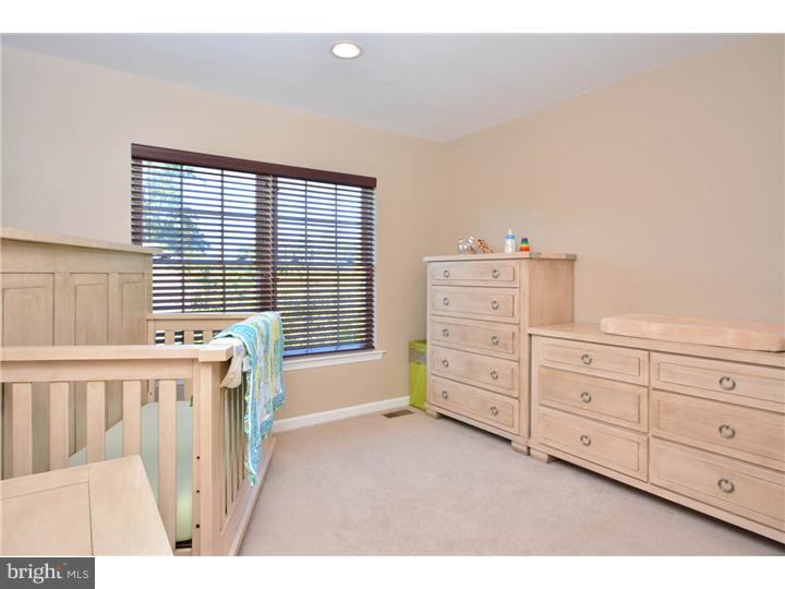 106 Blue Ribbon Way Downingtown, PA 19335 - Photo 17 of 19 Gallery Image 17