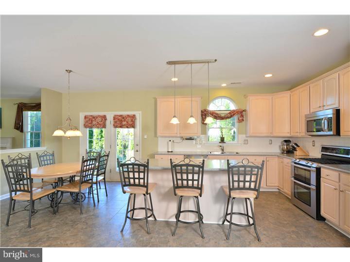 106 Blue Ribbon Way Downingtown, PA 19335 - Photo 8 of 19 Gallery Image 8