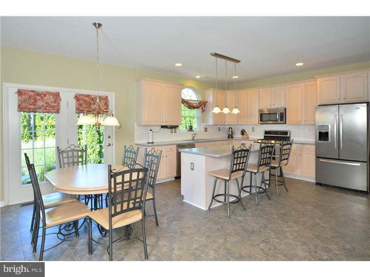 106 Blue Ribbon Way Downingtown, PA 19335 - Photo 9 of 19 Gallery Image 9