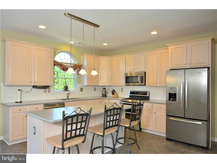 106 Blue Ribbon Way Downingtown, PA 19335 - Photo 10 of 19 Gallery Image 10