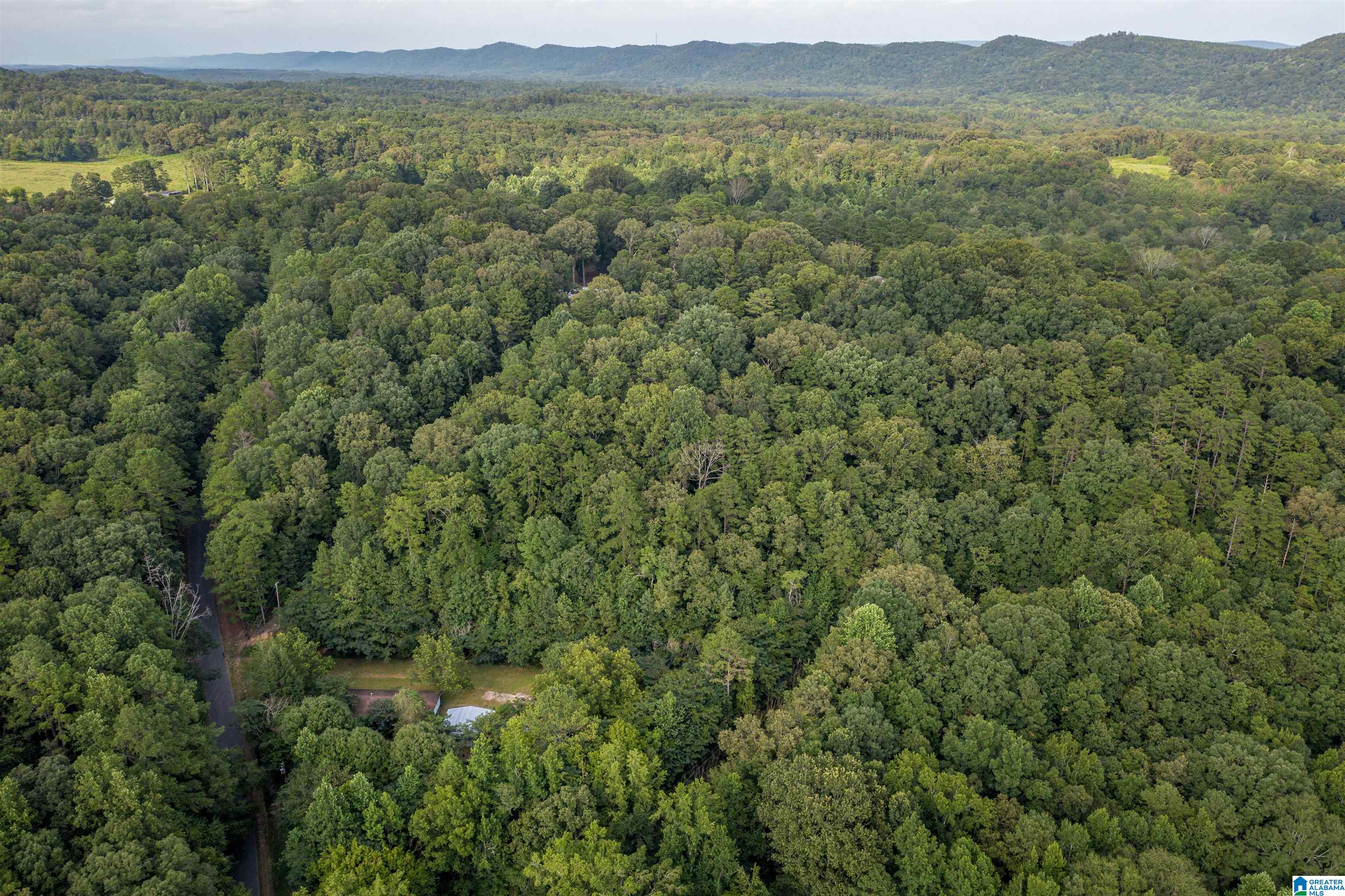 160 Mill Hill Road Attalla, AL 35954 - Photo 4 of 26