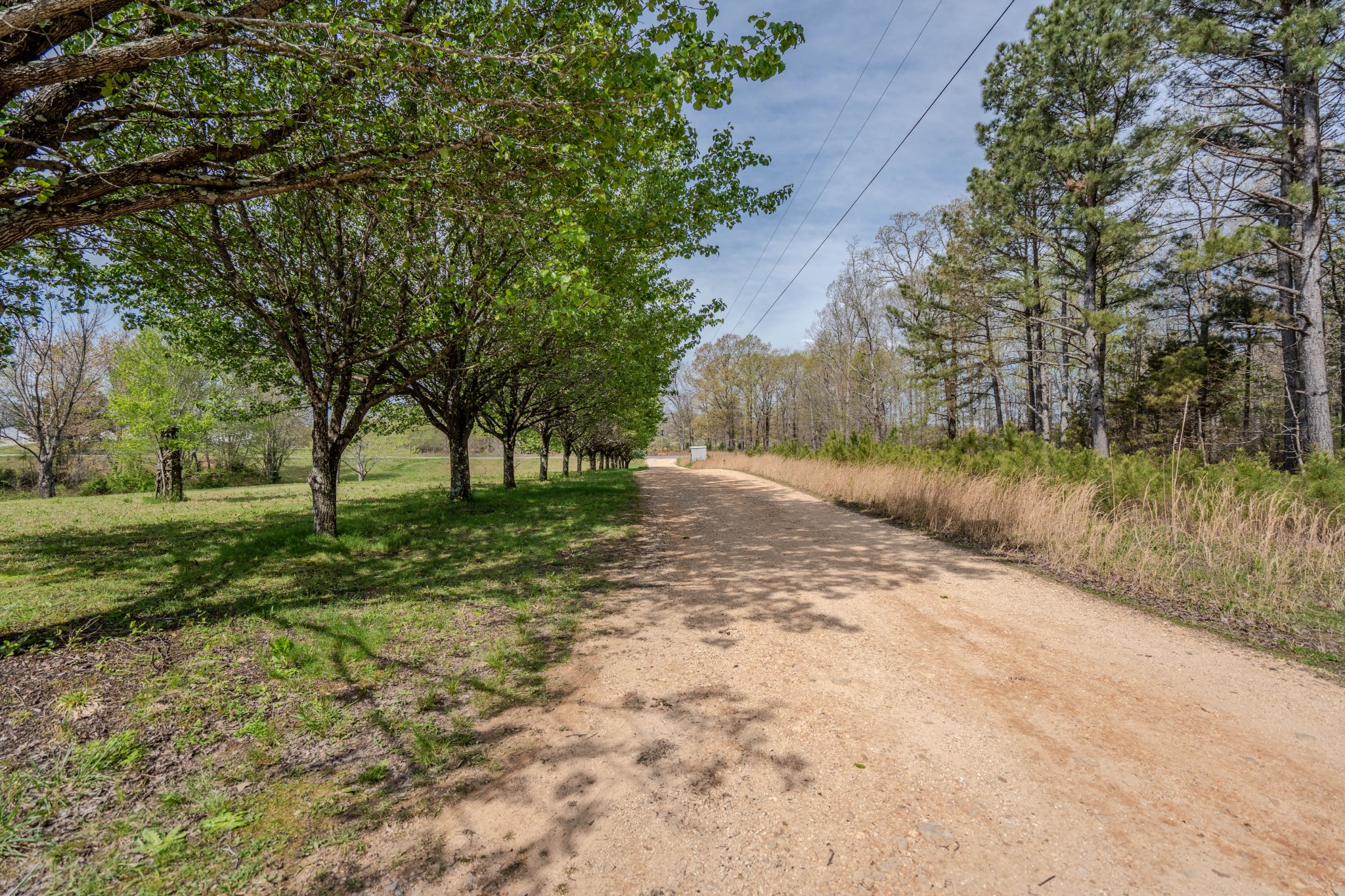 1648 Little Fish Trap Road Lawrenceburg, TN 38464 - Photo 33 of 33