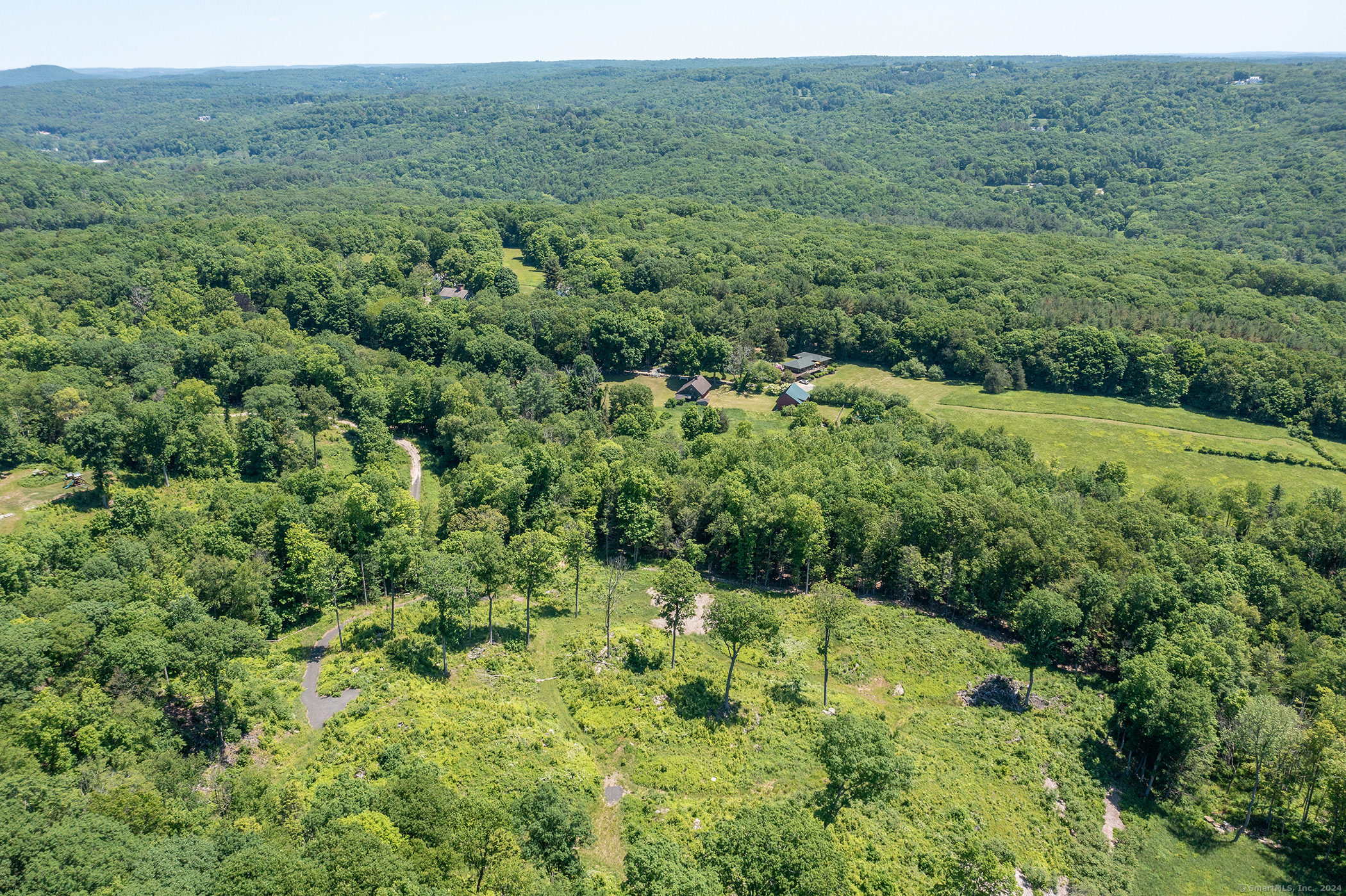 101 Lower Church Hill Road Washington, CT 06794 - Photo 4 of 6 a view of a lush green forest with trees