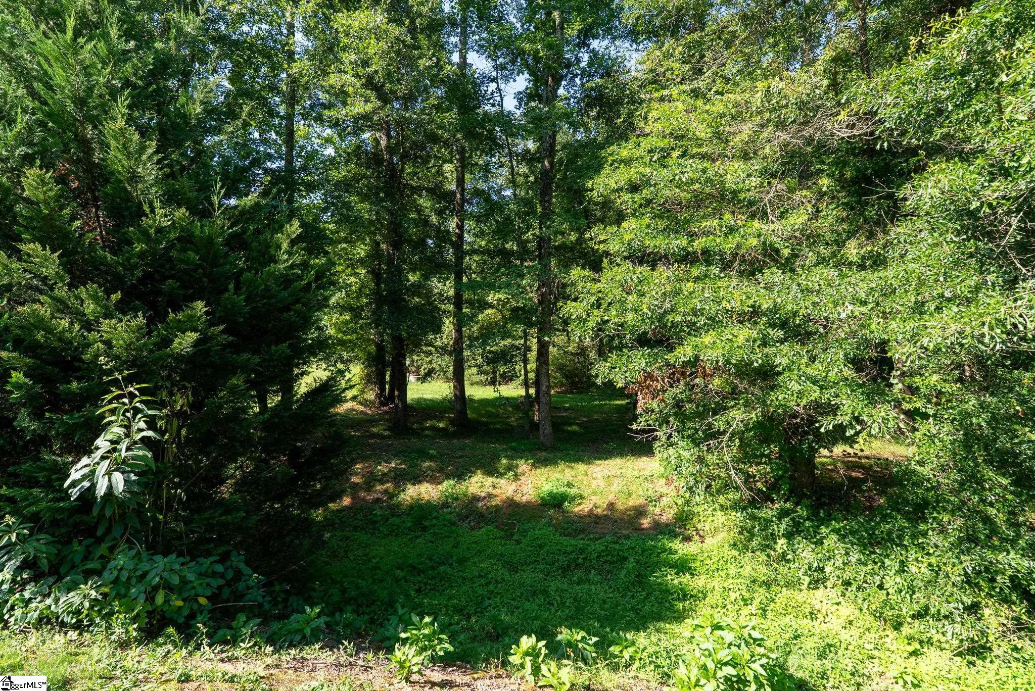 10 Colonel Storrs Court Greer, SC 29650 - Photo 43 of 50