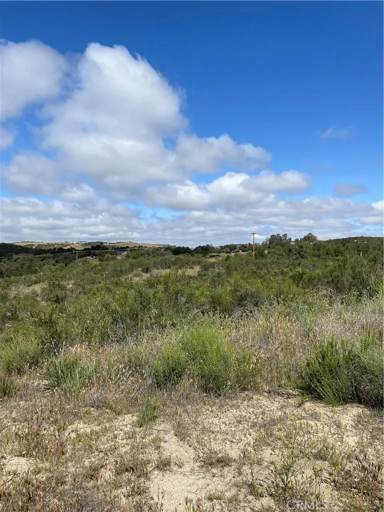 a view of a yard with an ocean