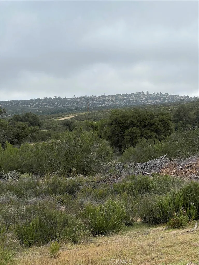 47 Sable Hemet, CA 92544 - Photo 7 of 11 a view of a green field