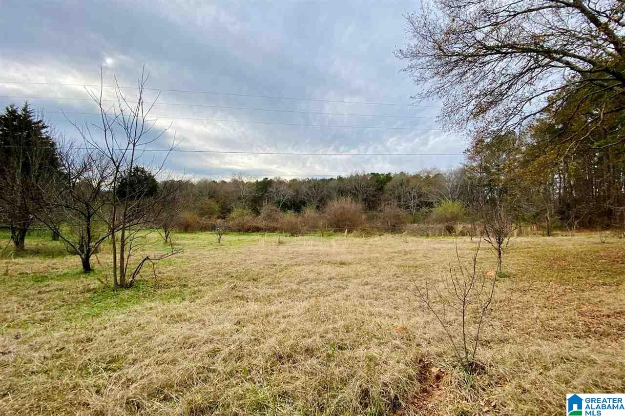 885 County Line Road West, Unit 11 ACRES Eastaboga, AL 36260 - Photo 11 of 17