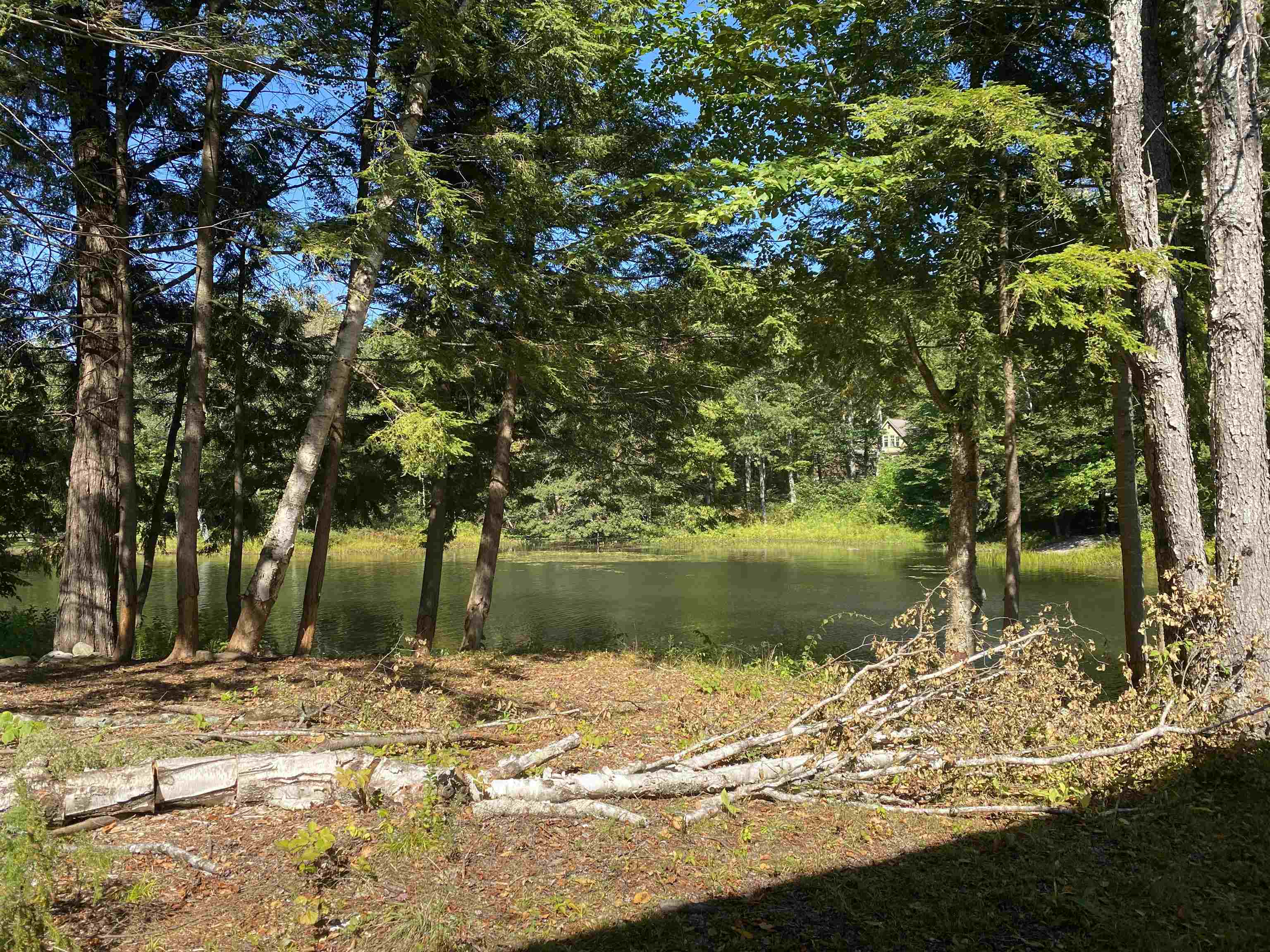 696 Vermont Rte 100 Ludlow, VT 05149 - Photo 14 of 53