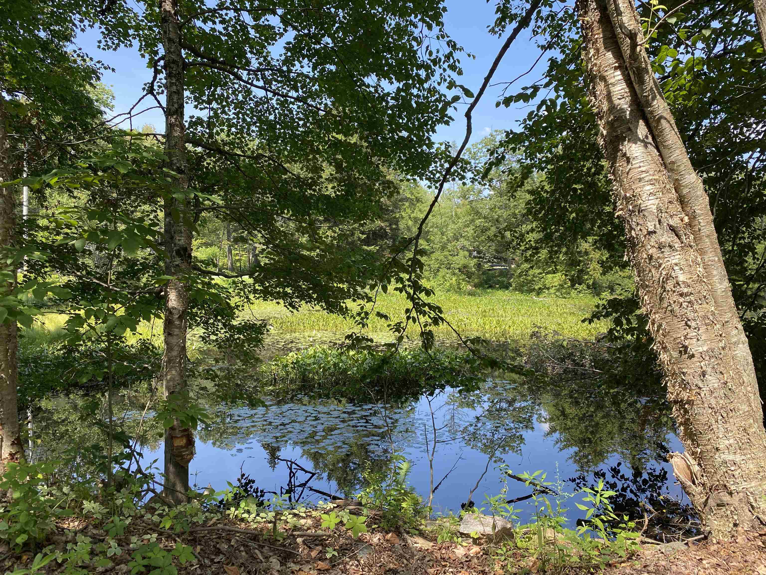 696 Vermont Rte 100 Ludlow, VT 05149 - Photo 18 of 53