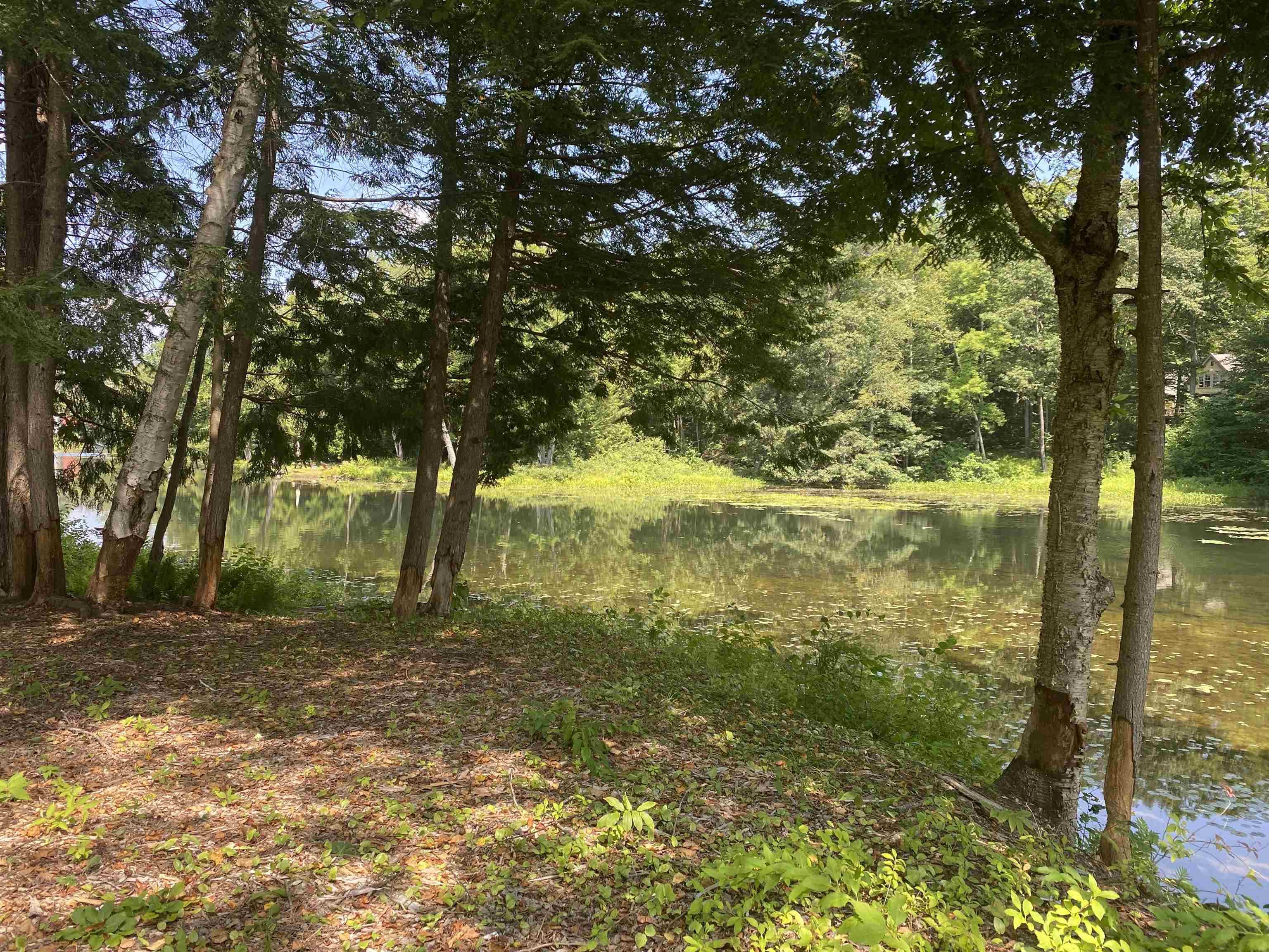 696 Vermont Rte 100 Ludlow, VT 05149 - Photo 25 of 53