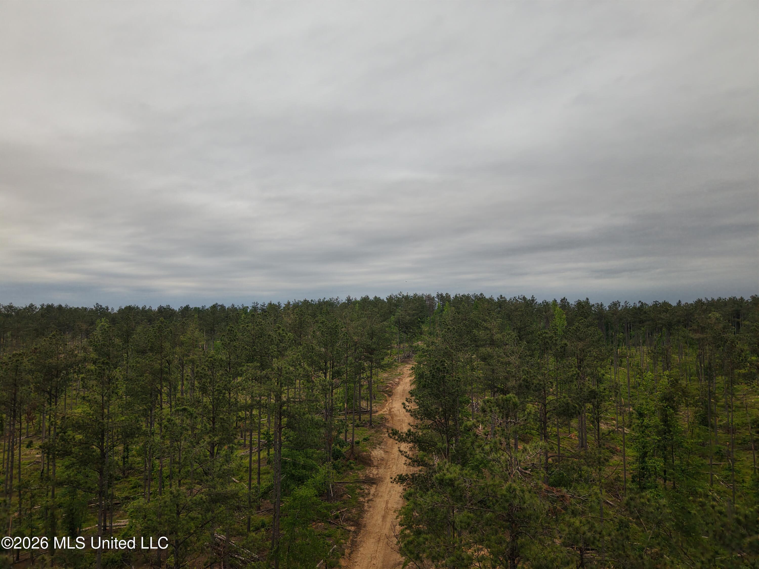 Graysport Crossing Road Gore Springs, MS 38929 - Photo 1 of 16 dji_fly_20260505_112900_0204_17797570150