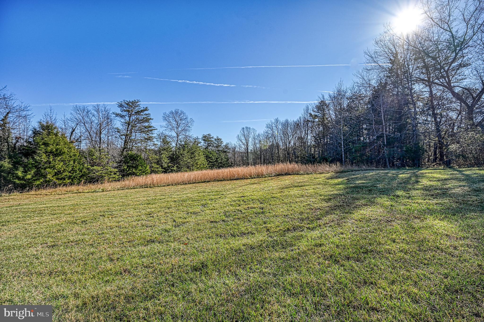 628 Carter Road Louisa, VA 23093 - Photo 4 of 43 Backyard View