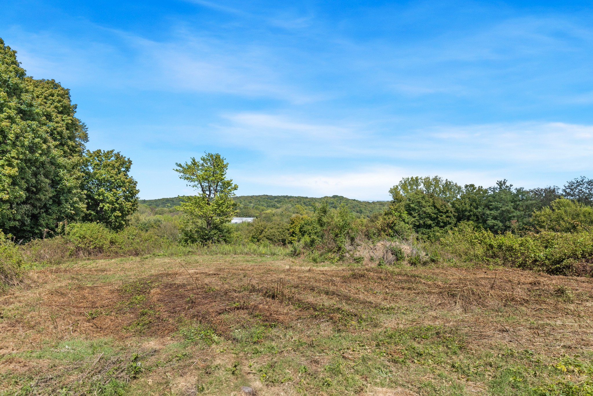 1818 Preacher Holt Road Mount Pleasant, TN 38474 - Photo 34 of 43 a view of a field with an ocean