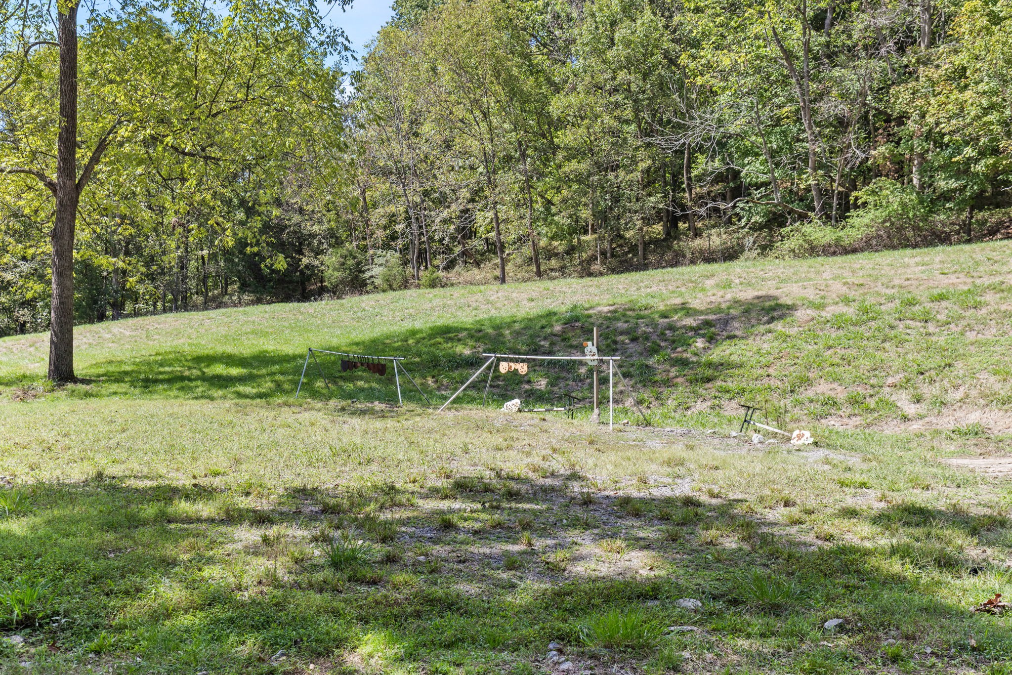 1818 Preacher Holt Road Mount Pleasant, TN 38474 - Photo 38 of 43 a view of outdoor space and yard