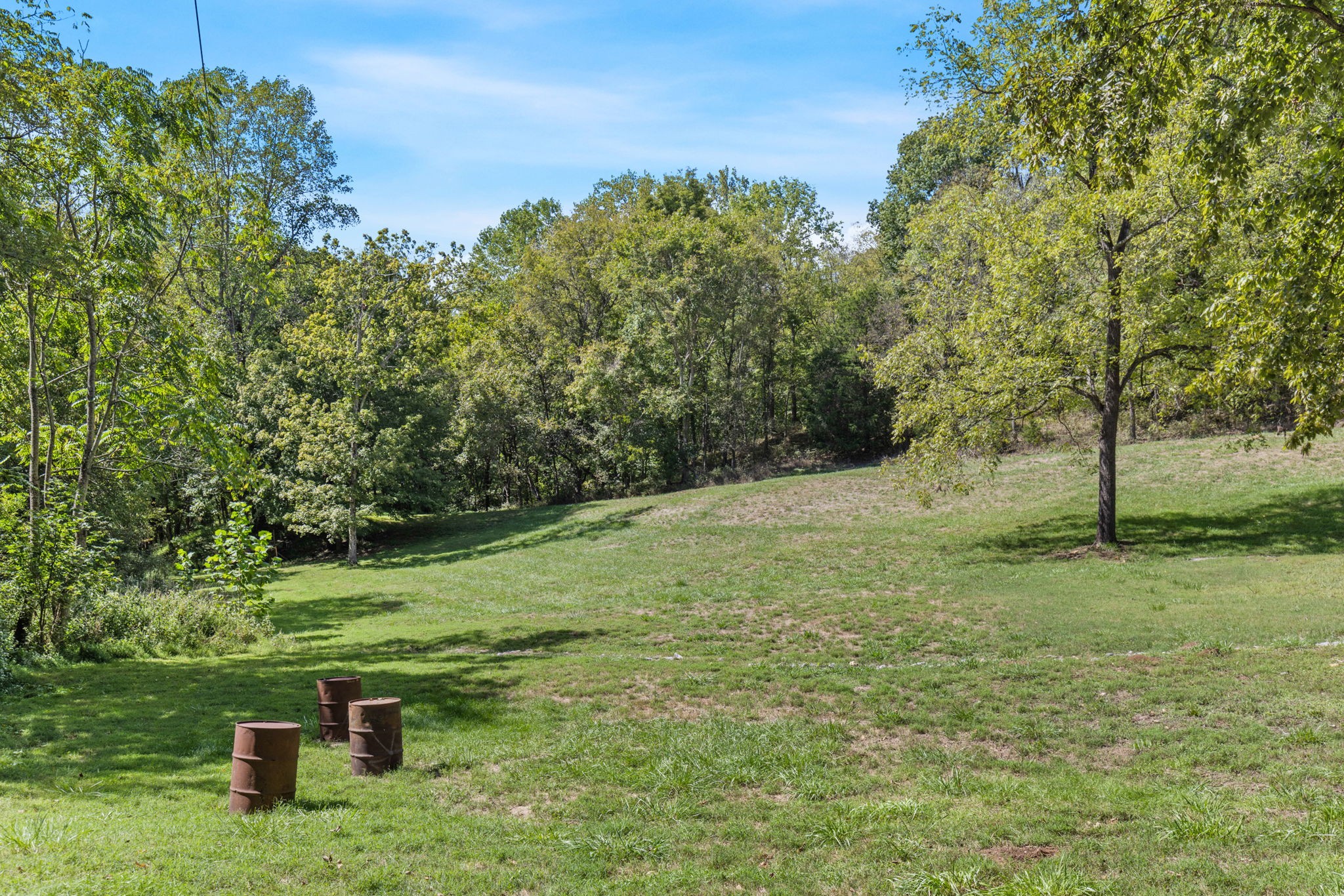 1818 Preacher Holt Road Mount Pleasant, TN 38474 - Photo 40 of 43 a backyard of a house with lots of green space