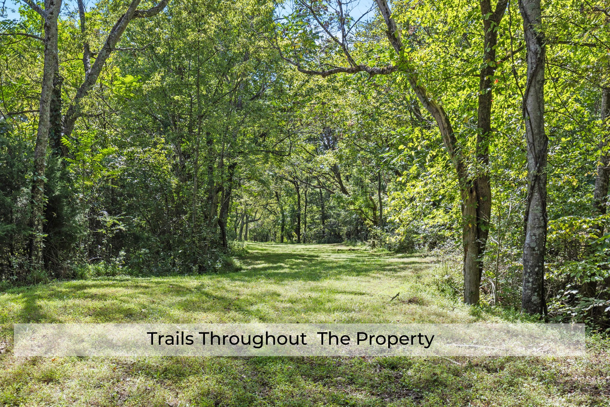 1818 Preacher Holt Road Mount Pleasant, TN 38474 - Photo 41 of 43 a view of a park