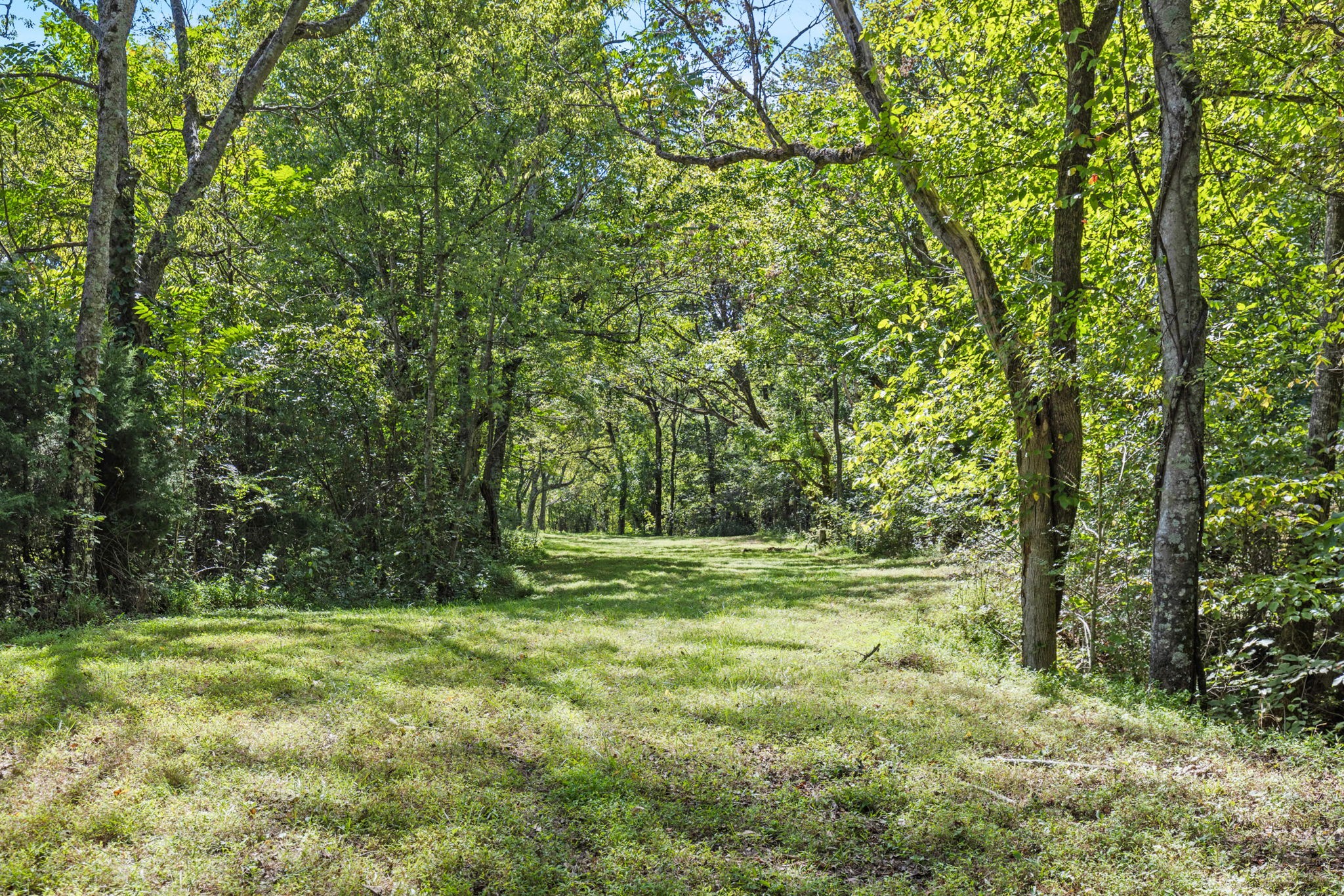 1818 Preacher Holt Road Mount Pleasant, TN 38474 - Photo 42 of 43 a view of outdoor space with trees all around