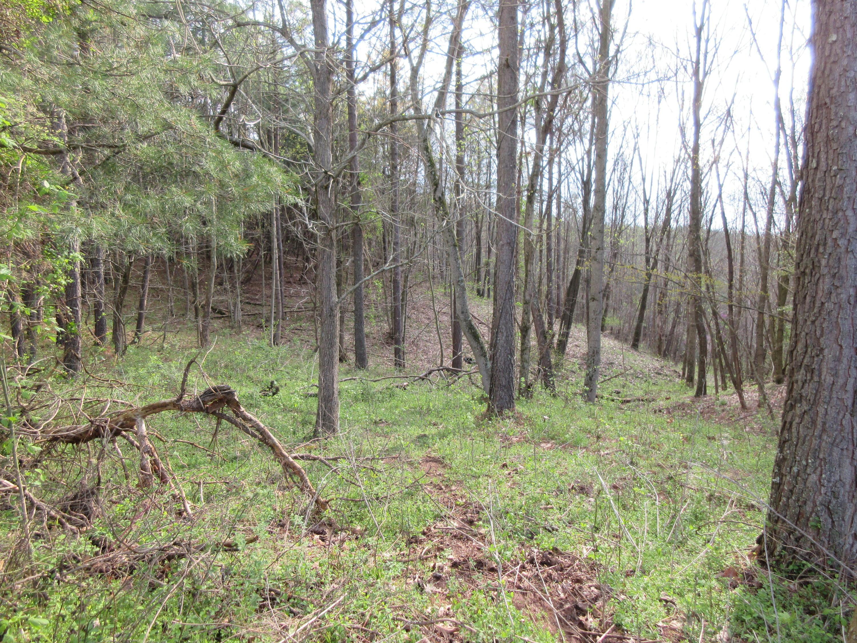 0 South Warner Hill Road Racine, OH 45771 - Photo 7 of 11
