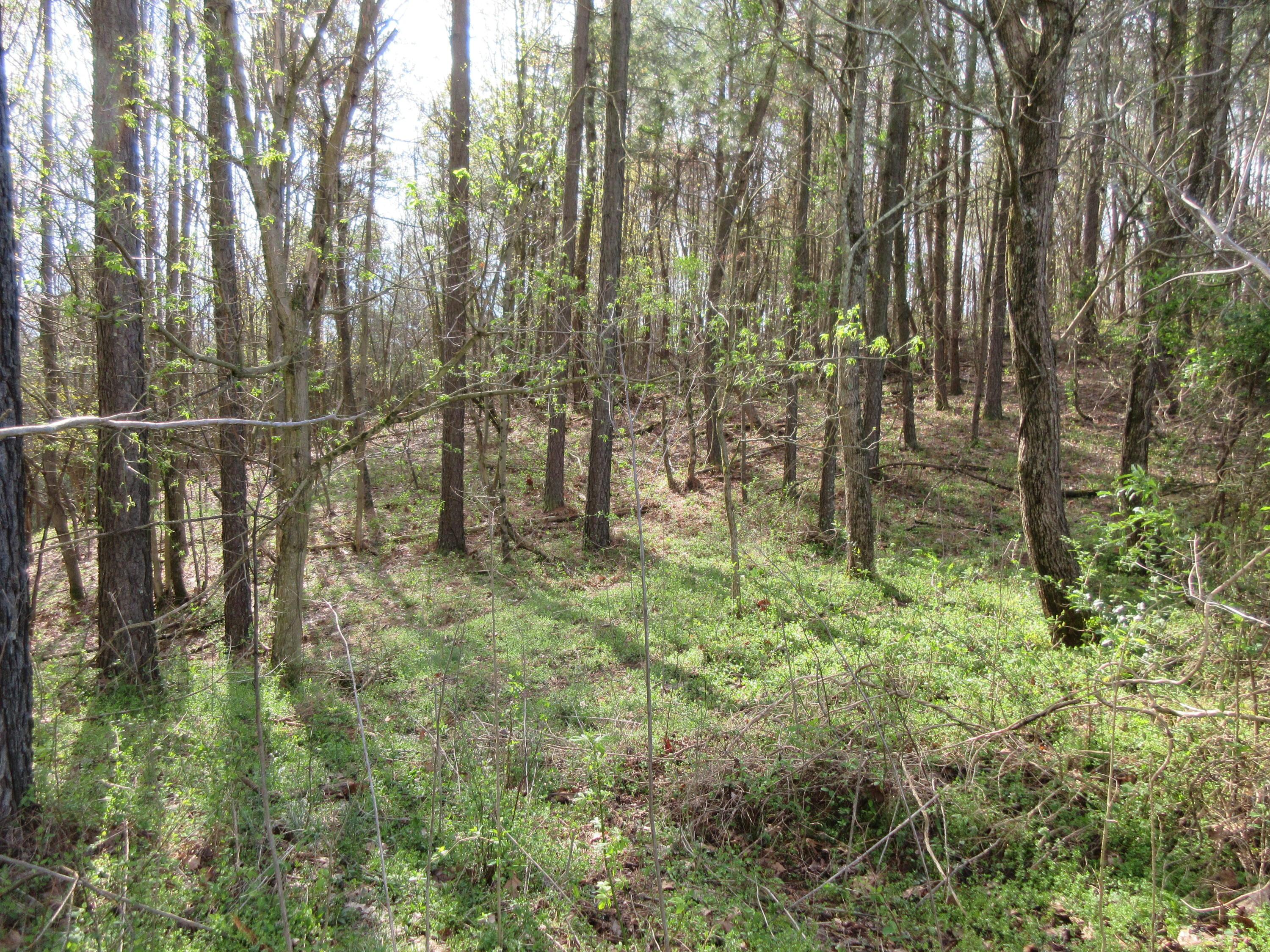 0 South Warner Hill Road Racine, OH 45771 - Photo 8 of 11