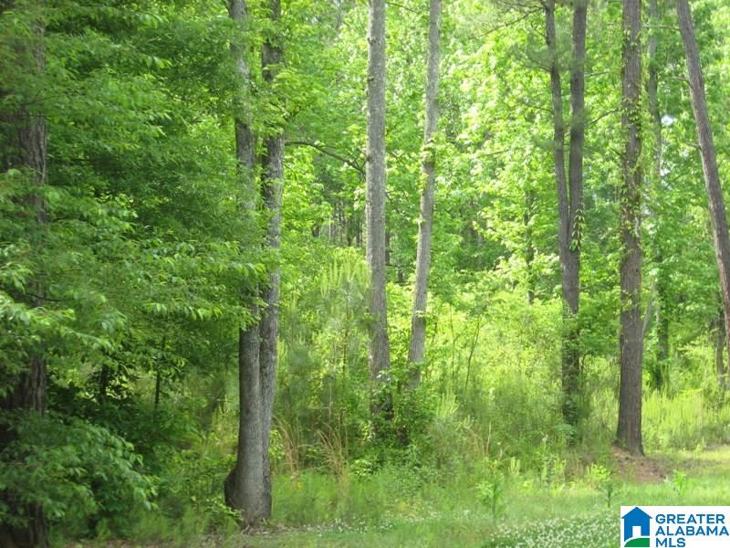 178 Olde Springs Road, Unit 24 Anniston, AL 36207 - Photo 30 of 37