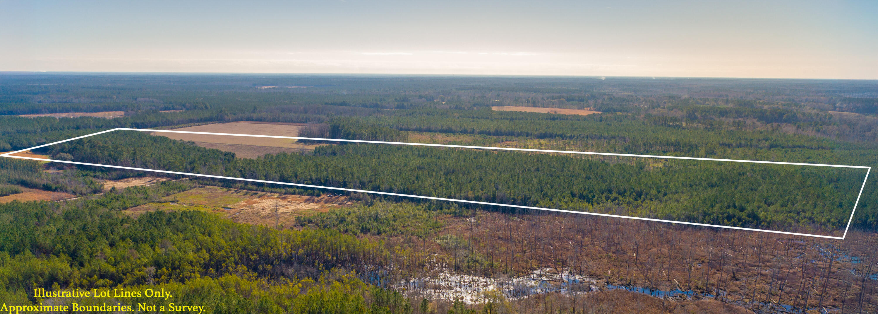 0 Hiotts Pond Road Walterboro, SC 29488 - Photo 11 of 13 Land_Eterna_Media-11