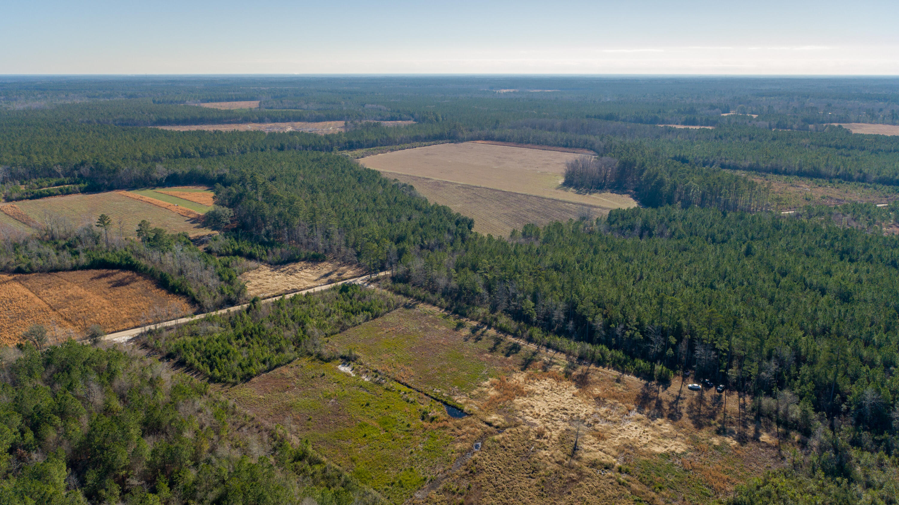 0 Hiotts Pond Road Walterboro, SC 29488 - Photo 12 of 13 Land_Eterna_Media-12