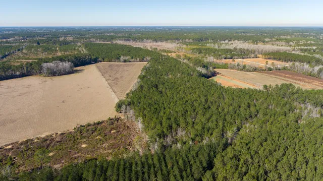 $1,000,000 | 0 Hiotts Pond Road, Walterboro, SC 29488