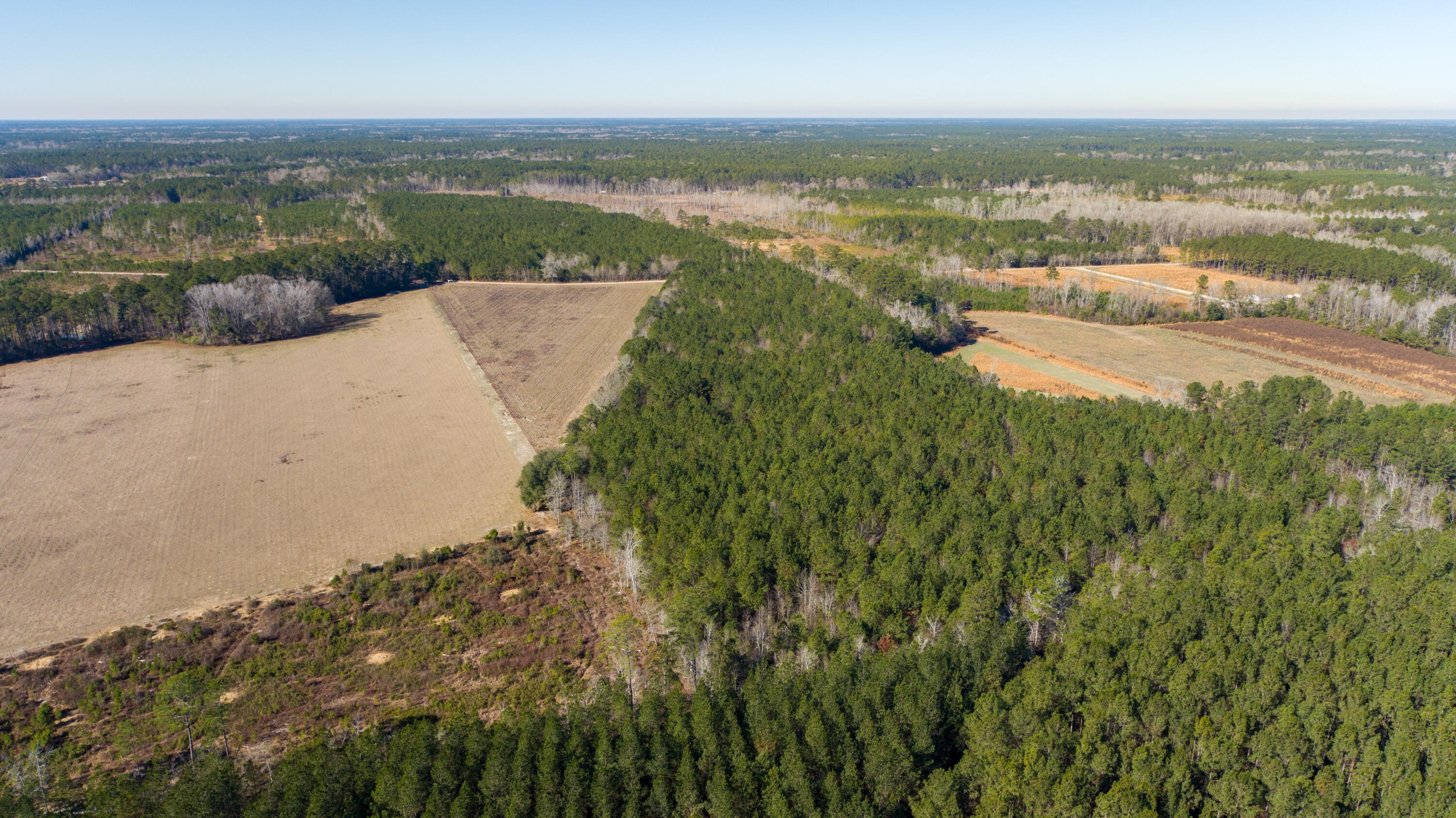 0 Hiotts Pond Road Walterboro, SC 29488 - Photo 3 of 13 Land_Eterna_Media-3