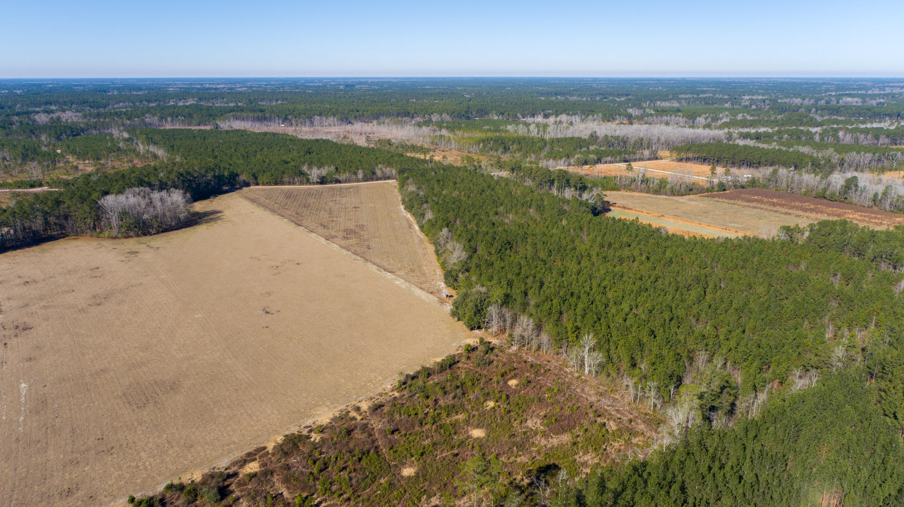 0 Hiotts Pond Road Walterboro, SC 29488 - Photo 4 of 13 Land_Eterna_Media-4