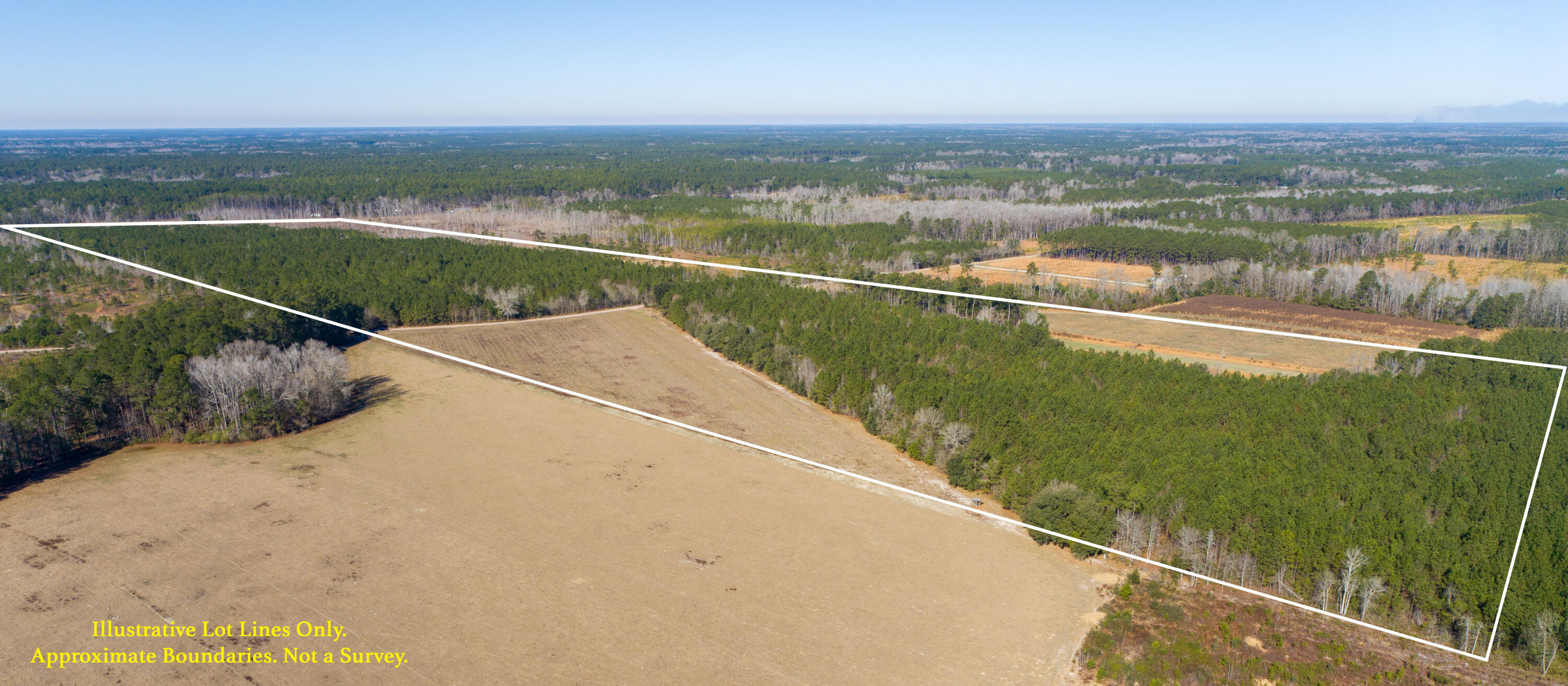 0 Hiotts Pond Road Walterboro, SC 29488 - Photo 5 of 13 Land_Eterna_Media-5