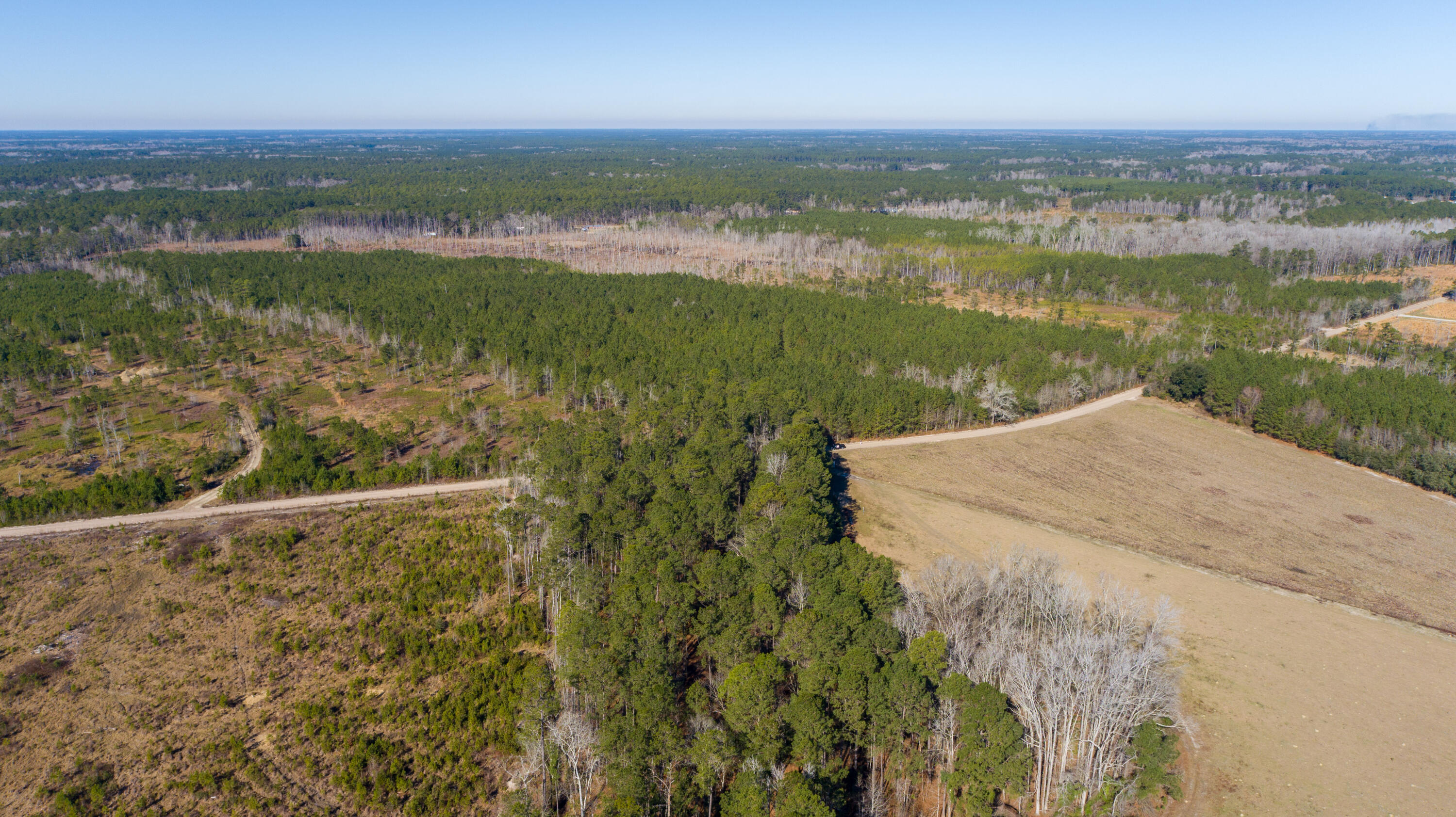 0 Hiotts Pond Road Walterboro, SC 29488 - Photo 7 of 13 Land_Eterna_Media-7