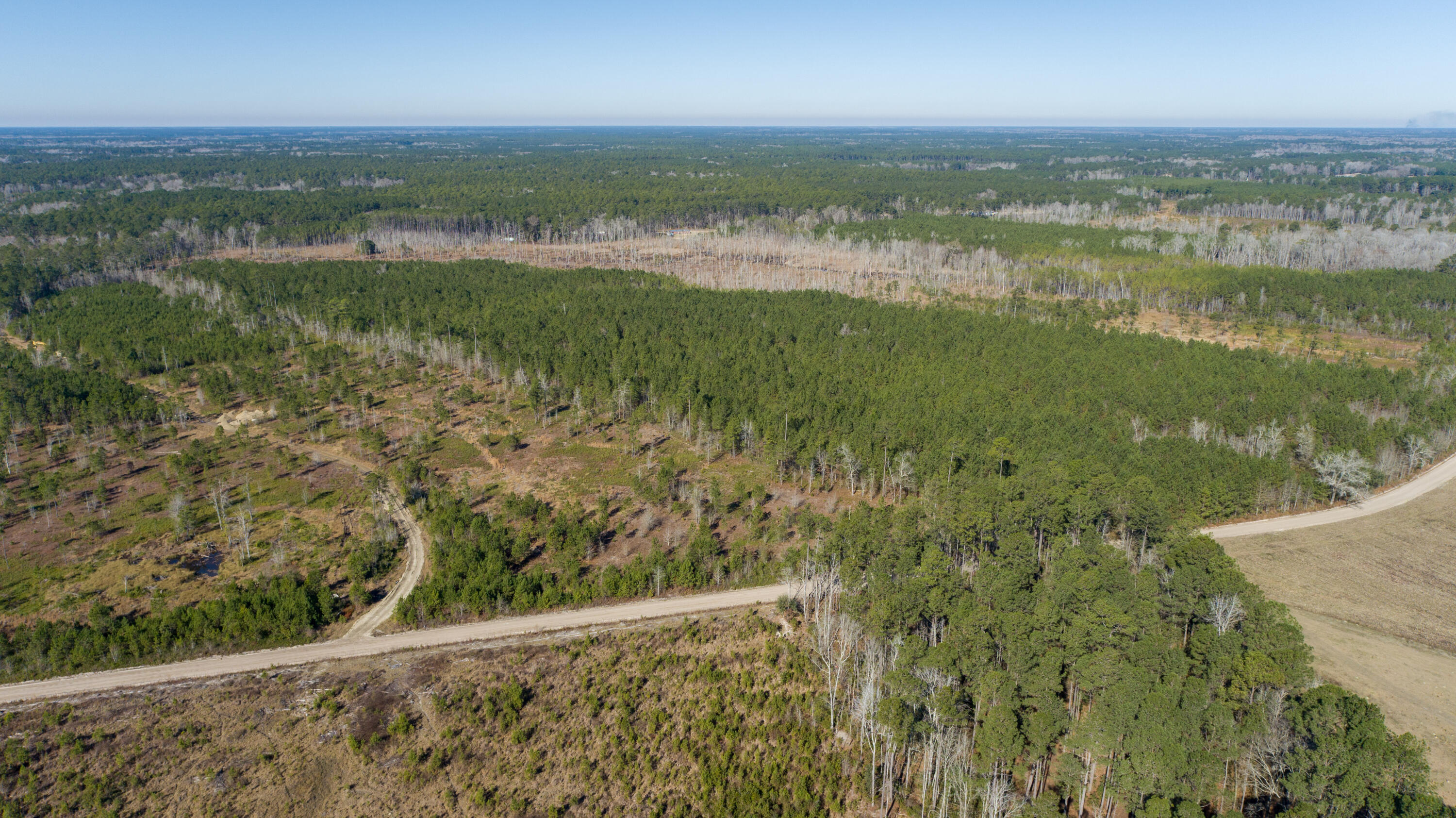 0 Hiotts Pond Road Walterboro, SC 29488 - Photo 8 of 13 Land_Eterna_Media-8