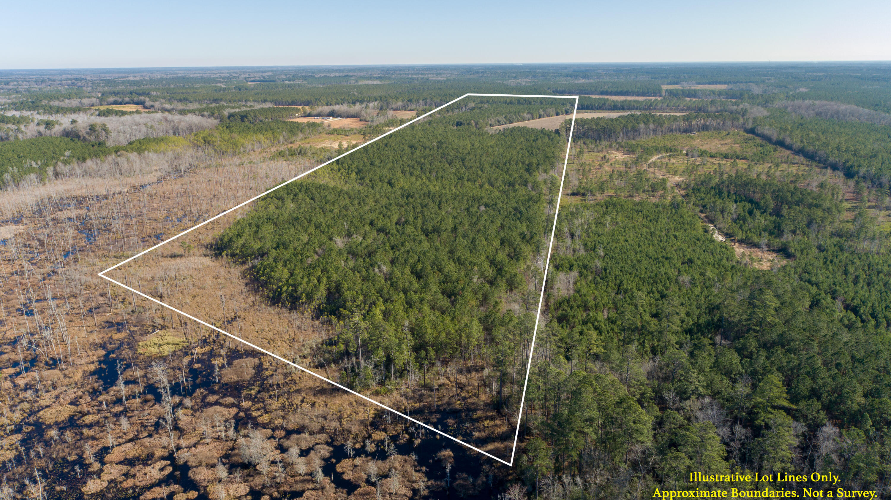 0 Hiotts Pond Road Walterboro, SC 29488 - Photo 9 of 13 Land_Eterna_Media-9