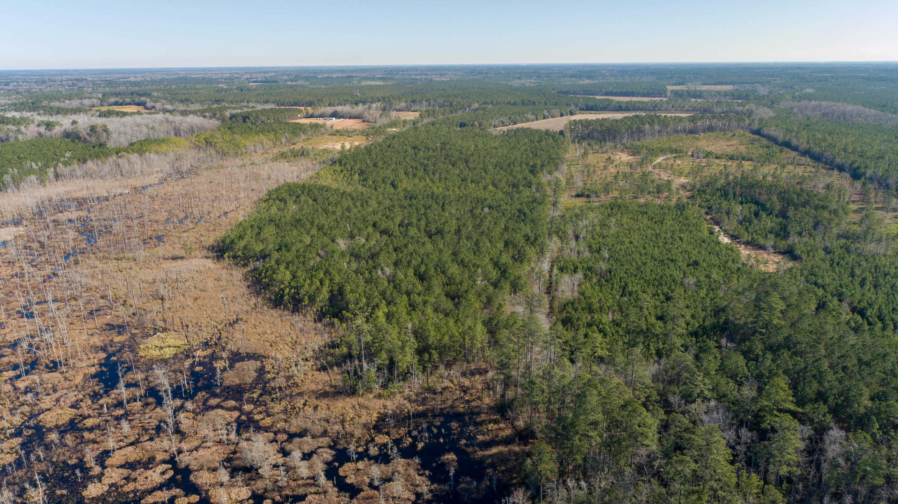 0 Hiotts Pond Road Walterboro, SC 29488 - Photo 10 of 13 Land_Eterna_Media-10