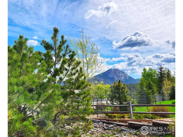 a view of a yard with a tree