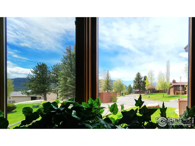 a view of a garden with an outdoor space