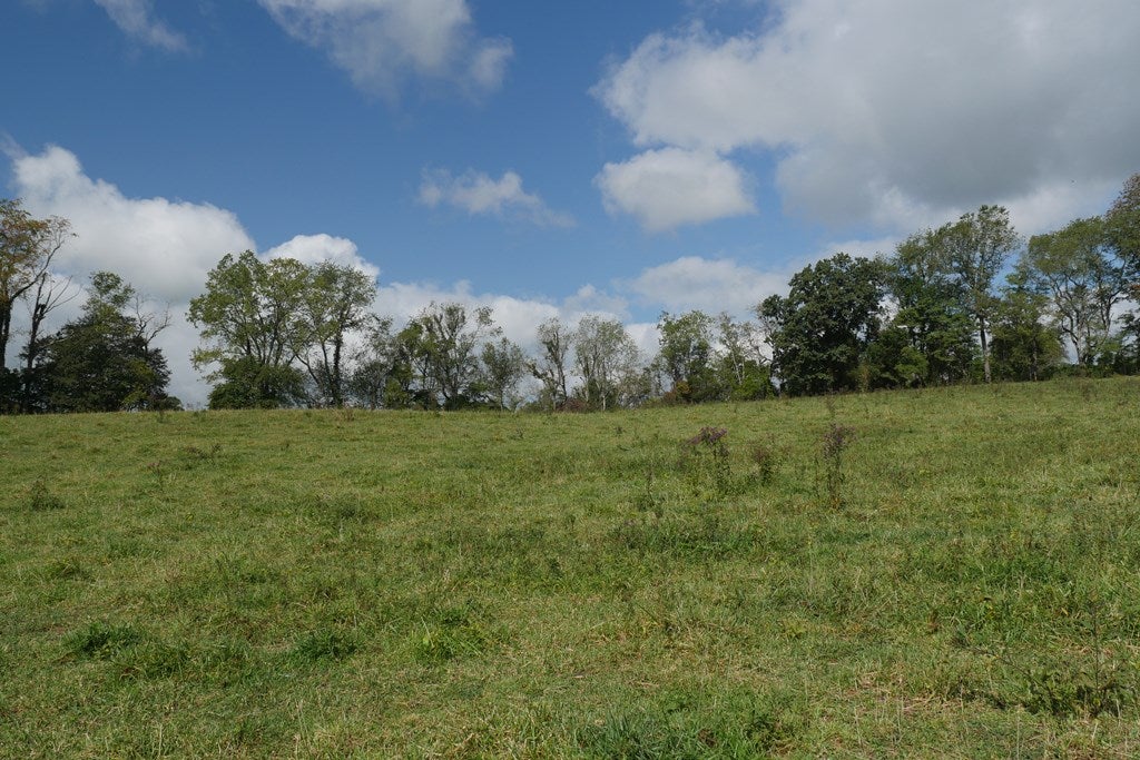 Tbd South Fork River Road Glade Spring, VA 24340 - Photo 17 of 25 Gallery Image 17
