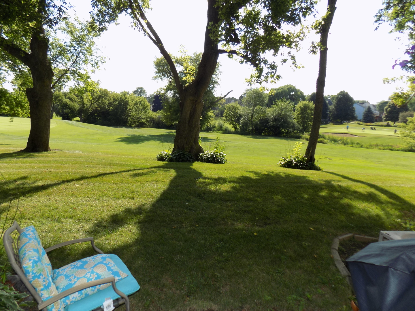 702 Chandler Road Gurnee, IL 60031 - Photo 17 of 26 a view of swimming pool with a garden