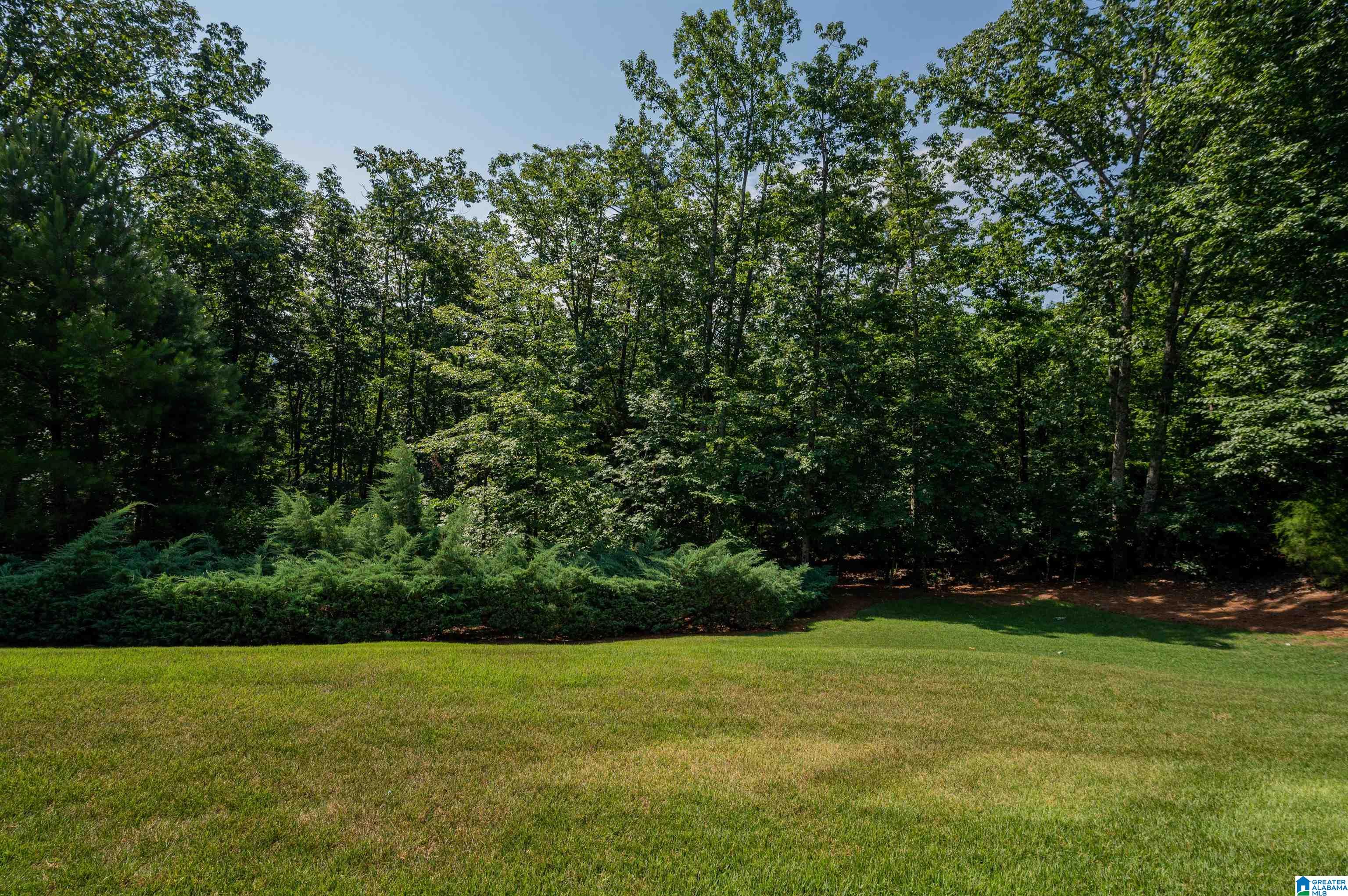 1404 Scout Ridge Drive Birmingham, AL 35244 - Photo 48 of 50