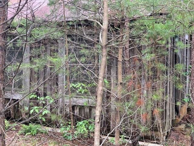 119 C L Conner Trail Rutherfordton, NC 28139 - Photo 2 of 9